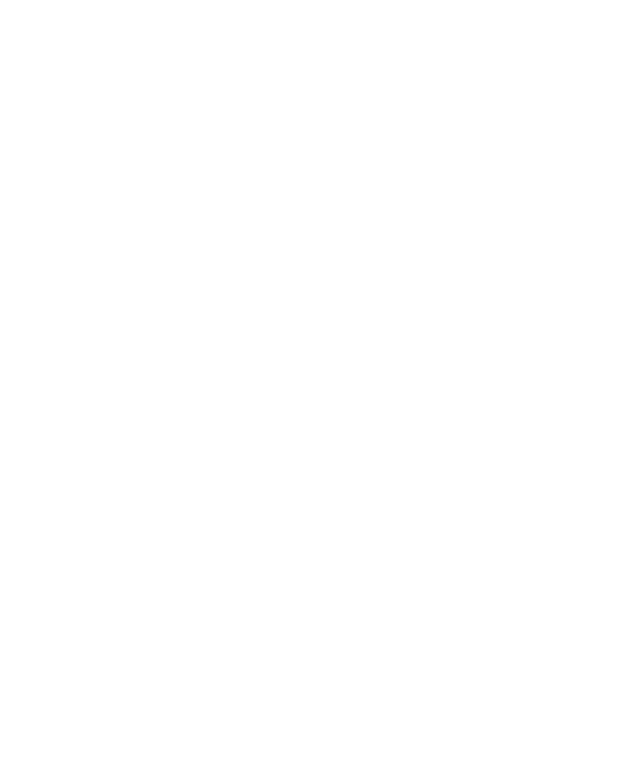 洞见必行 logo